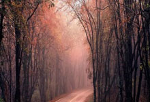 90分钟战报-葡萄牙3-2总比分3-3丹麦 C罗失点+破门B费造乌龙.