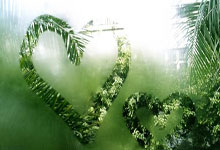 28圈官网:我国选手诺莎希达勇夺亚洲残疾人射箭杯银牌.