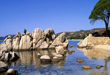 28圈官网:8球,奥亚萨瓦尔是德拉富恩特治下西班牙国家队第一射手.